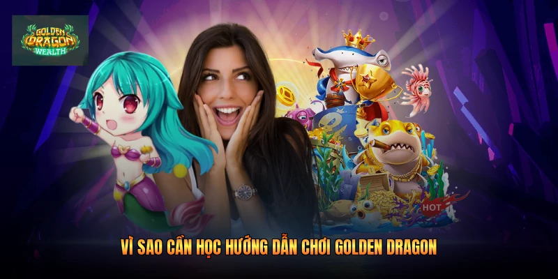 Vì sao cần học hướng dẫn chơi golden dragon